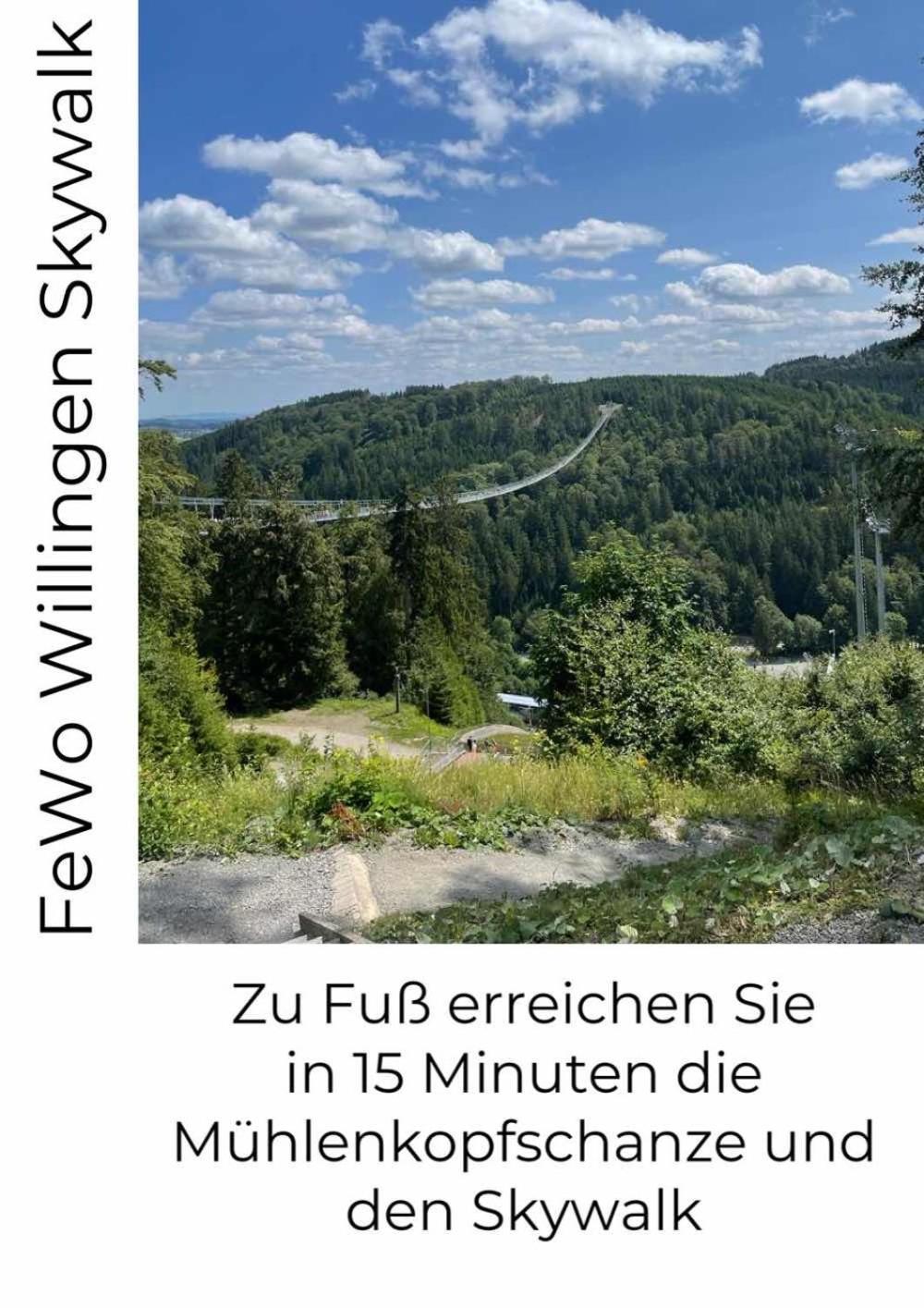 Fewo Skywalk Willingen Stryck Екстер'єр фото