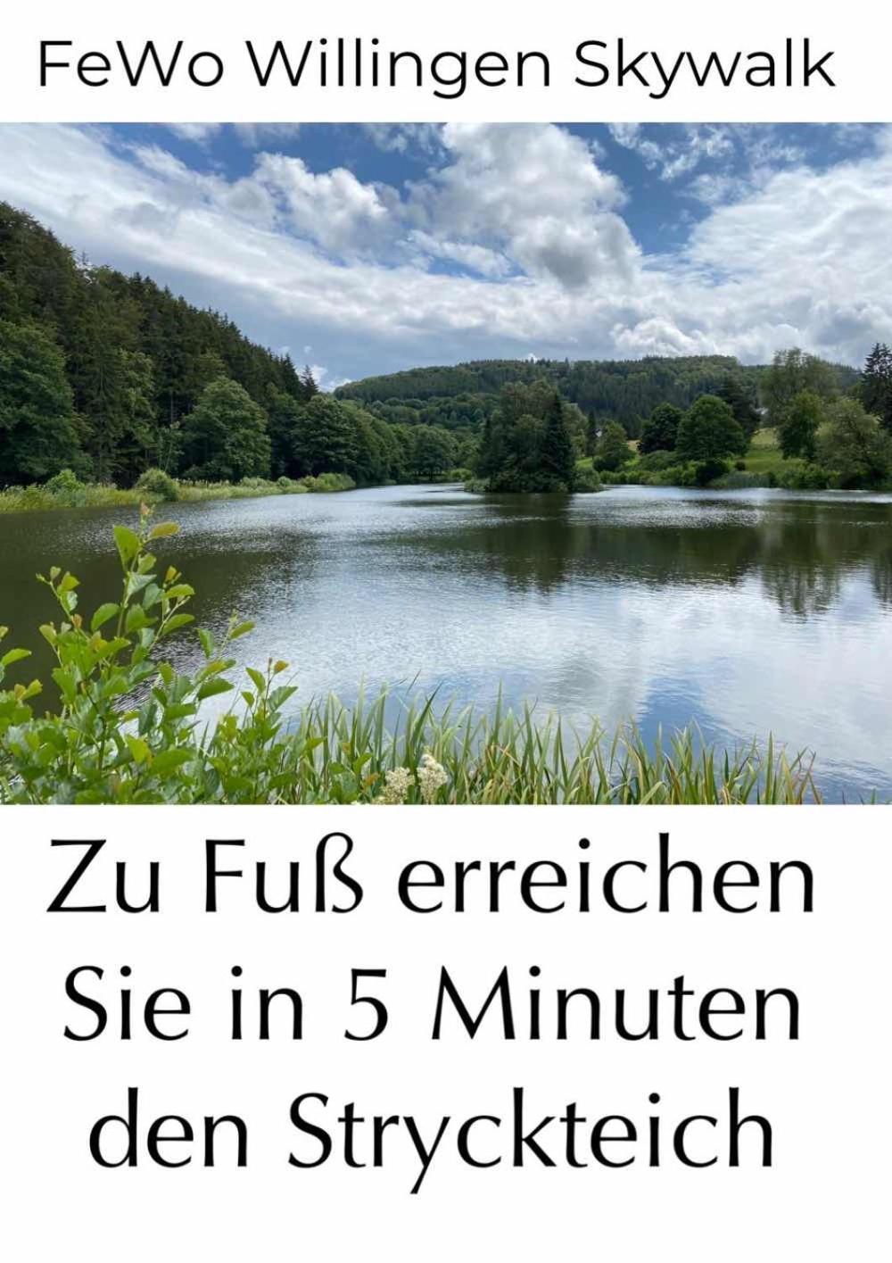 Fewo Skywalk Willingen Stryck Екстер'єр фото